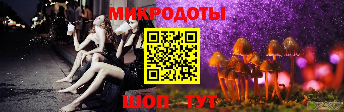 Галлюциногенные грибы Psilocybine cubensis Нижнеудинск